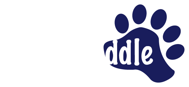 Bear Paddle Swim School